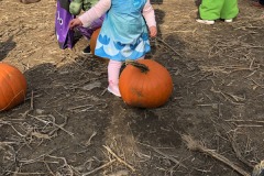 IMG2020 (136)