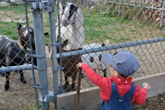 IMG2020 (19)