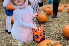 IMG2020 (62)