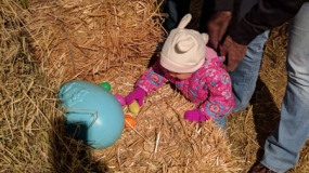 Egg-Citing Egg Hunt (10)