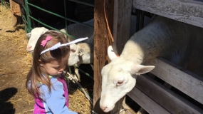 Egg-Citing Egg Hunt (101)