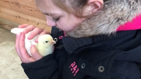 Egg-Citing Egg Hunt (102)