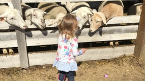 Egg-Citing Egg Hunt (11)