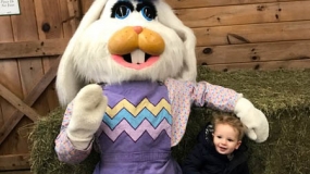 Egg-Citing Egg Hunt (120)