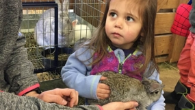Egg-Citing Egg Hunt (121)