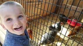 Egg-Citing Egg Hunt (122)