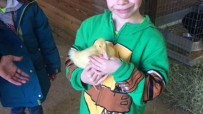 Egg-Citing Egg Hunt (13)