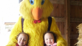 Egg-Citing Egg Hunt (135)
