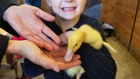 Egg-Citing Egg Hunt (146)