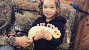 Egg-Citing Egg Hunt (15)
