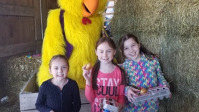 Egg-Citing Egg Hunt (150)