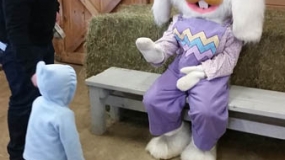 Egg-Citing Egg Hunt (155)