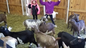 Egg-Citing Egg Hunt (157)