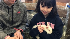 Egg-Citing Egg Hunt (16)