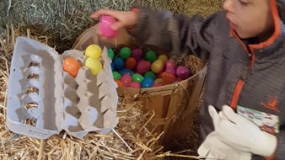 Egg-Citing Egg Hunt (163)