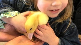 Egg-Citing Egg Hunt (164)