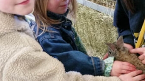 Egg-Citing Egg Hunt (165)