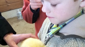 Egg-Citing Egg Hunt (167)