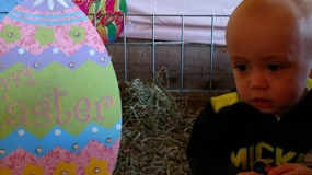 Egg-Citing Egg Hunt (2)