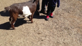 Egg-Citing Egg Hunt (20)