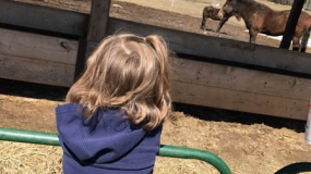 Egg-Citing Egg Hunt (21)