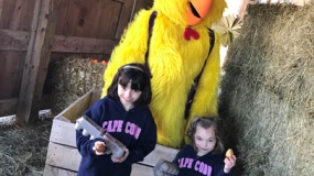 Egg-Citing Egg Hunt (23)