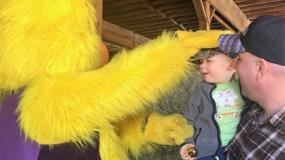 Egg-Citing Egg Hunt (30)