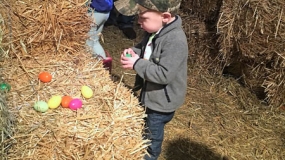 Egg-Citing Egg Hunt (33)
