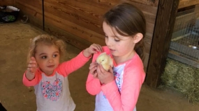 Egg-Citing Egg Hunt (35)