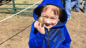 Egg-Citing Egg Hunt (36)