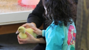 Egg-Citing Egg Hunt (43)