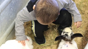 Egg-Citing Egg Hunt (44)