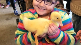 Egg-Citing Egg Hunt (49)