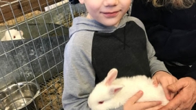 Egg-Citing Egg Hunt (53)