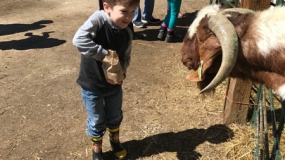 Egg-Citing Egg Hunt (54)