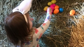 Egg-Citing Egg Hunt (59)