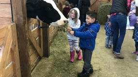 Egg-Citing Egg Hunt (63)