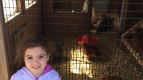 Egg-Citing Egg Hunt (67)