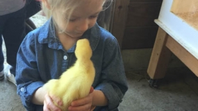 Egg-Citing Egg Hunt (79)