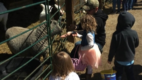 Egg-Citing Egg Hunt (84)
