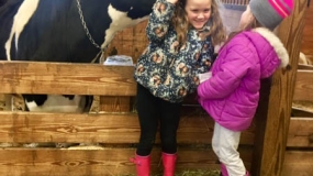 Egg-Citing Egg Hunt (85)