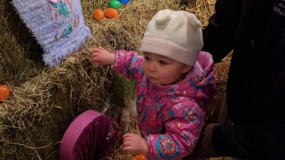 Egg-Citing Egg Hunt (9)