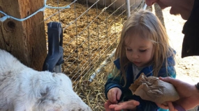 Egg-Citing Egg Hunt (96)