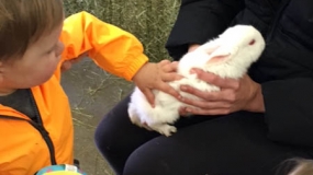 Egg-Citing Egg Hunt (99)