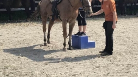 Horse Trail Ride (10)