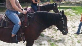 Horse Trail Ride (12)