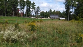 Horse Trail Ride (13)