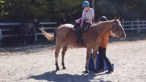 Horse Trail Ride (14)