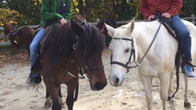 Horse Trail Ride (15)