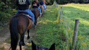 Horse Trail Ride (18)